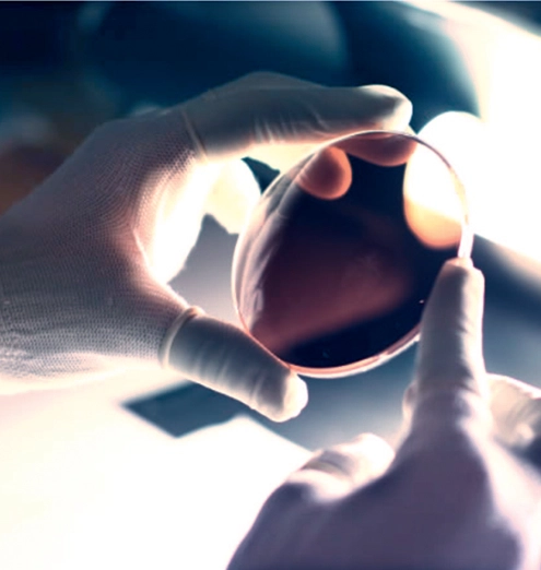 Lens Crafting